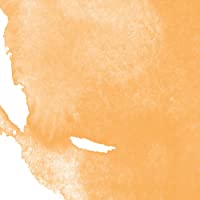 Jacquard Tintas con Alcohol de Colores- Tangerine- 1-2 oz